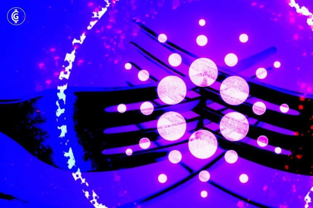 Какво се случва с моя Етериум, Твърда и мека вилица