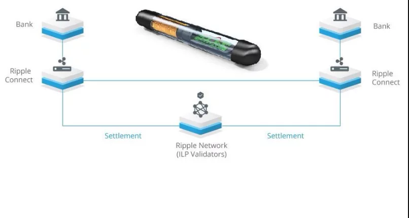 Можете ли да си купите XRP в криптокомпанията?