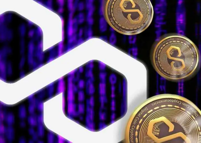 Какво е polygon
