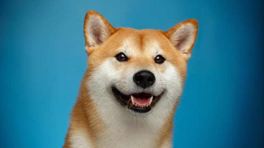 Кой е изобретил Dogecoin?
