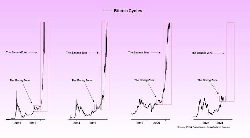 Графика на цикъла на биткойн от 2011 г. до 2024 г.
