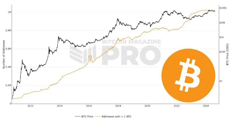 Графика, показваща броя на Биткойн адресите, притежаващи 1 BTC
