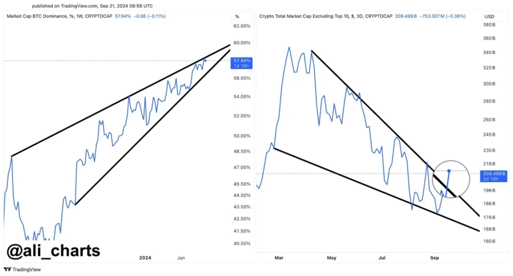 Търговецът прогнозира възход на Dogecoin, запазване на Solana's Fall Ahead
