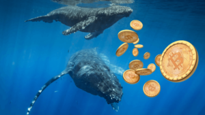 Данните за януари разкриват скока на скривалището на Bitcoin Whales с 3 млрд. долара
